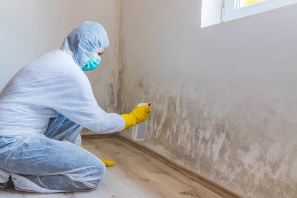 Commercial Mold Remediation assessment for commercial property in Wrightsville