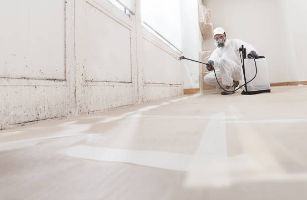 Black mold remediation team in Wrightsville